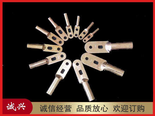 DT双孔接线端子